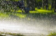 Heavy rain alert issued by IMD