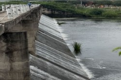 Rajasthan: झमाझम बारिश से राजस्थान में एक और बांध छलका, 5 और छलकने की कगार पर,
चहुंओर छाई खुशी - image