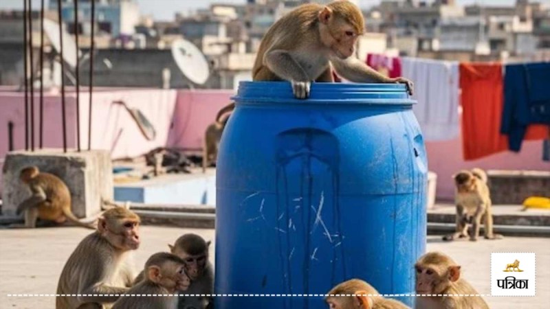 sitapur babies death monkeys attack news