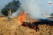 stubble burning