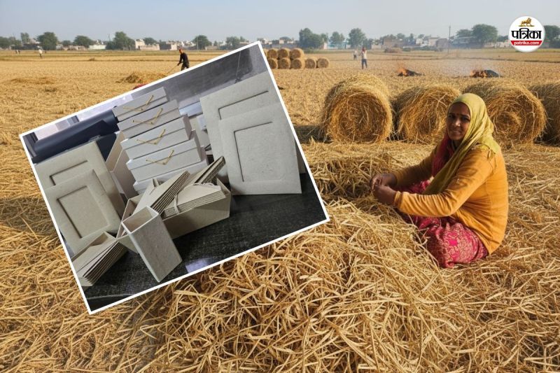 Jaipur Sanganer Paper made from Atubble Heavy demand Abroad Farmers Earning Money