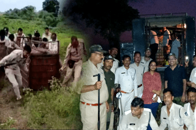 Leopard Rescue Operation