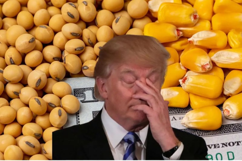 Trump Tariff turns out to be disastrous for American soybean and corn