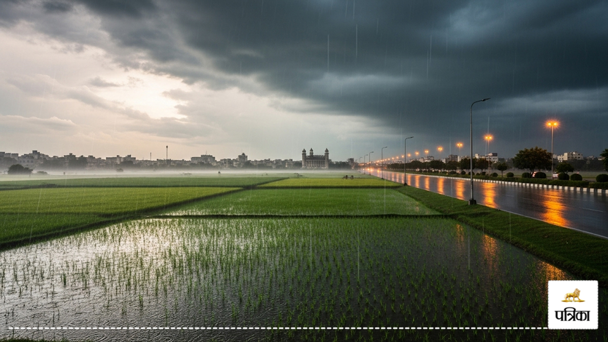 CG Weather News: सुबह तेज धूप, शाम को हुई रुक-रुककर बूंदा बांदी! बारिश से धान की फसल को लाभ…
