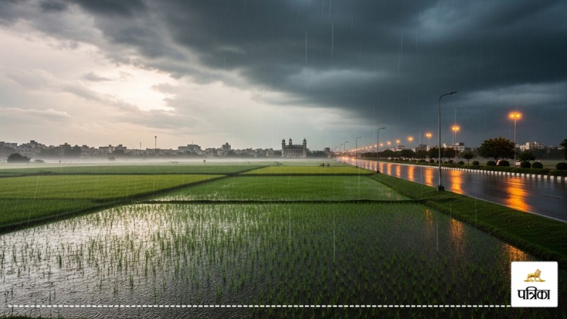 CG Weather News: सुबह तेज धूप, शाम को हुई रुक-रुककर बूंदा बांदी! बारिश से धान की फसल को लाभ...(photo-patrika)