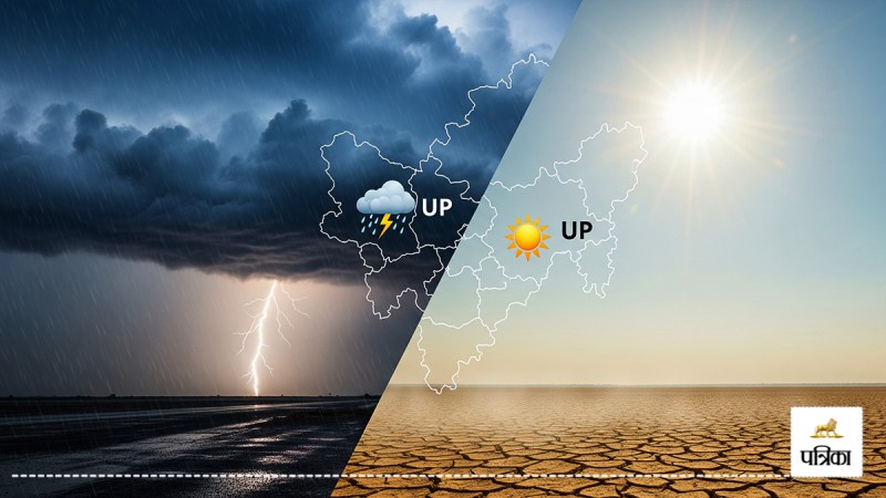 CG Weather News: सुबह तेज धूप, शाम को हुई रुक-रुककर बूंदा बांदी! बारिश से धान की फसल को लाभ...(photo-patrika)