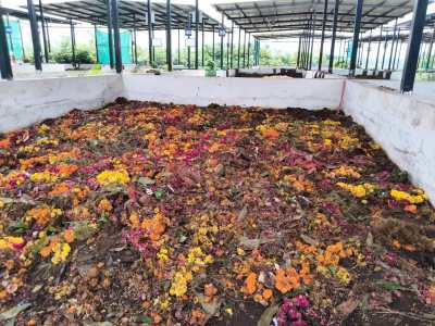 vermi compost