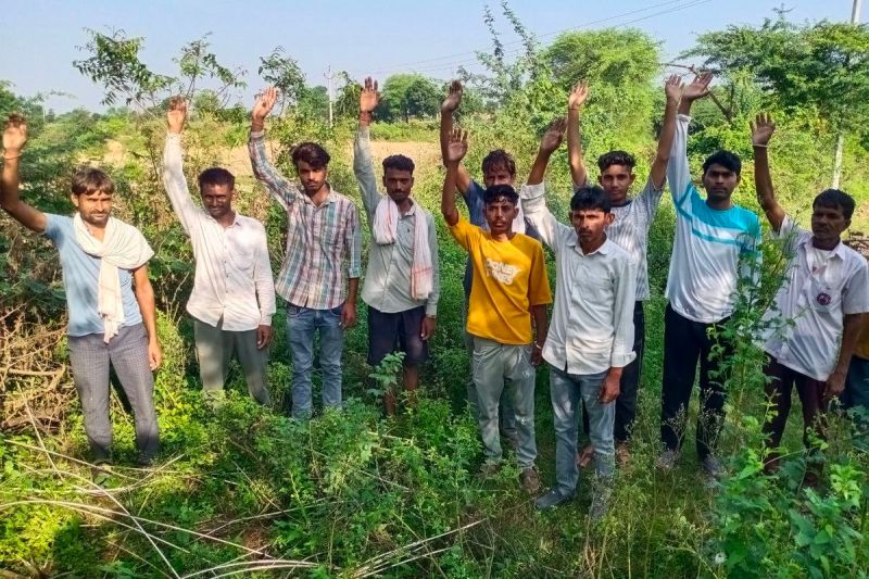 वन चौकी से एक किमी दूर आठ मोर का किया शिकार