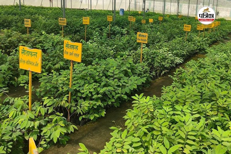 समन्वित फसलोत्तर प्रबंधन योजना