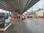 Railway General Manager's visit: Arrangements started being improved even before his arrival