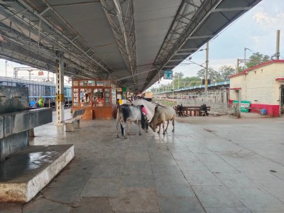 Railway General Manager's visit: Arrangements started being improved even before his arrival