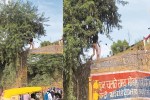 Photo: Patrika Network