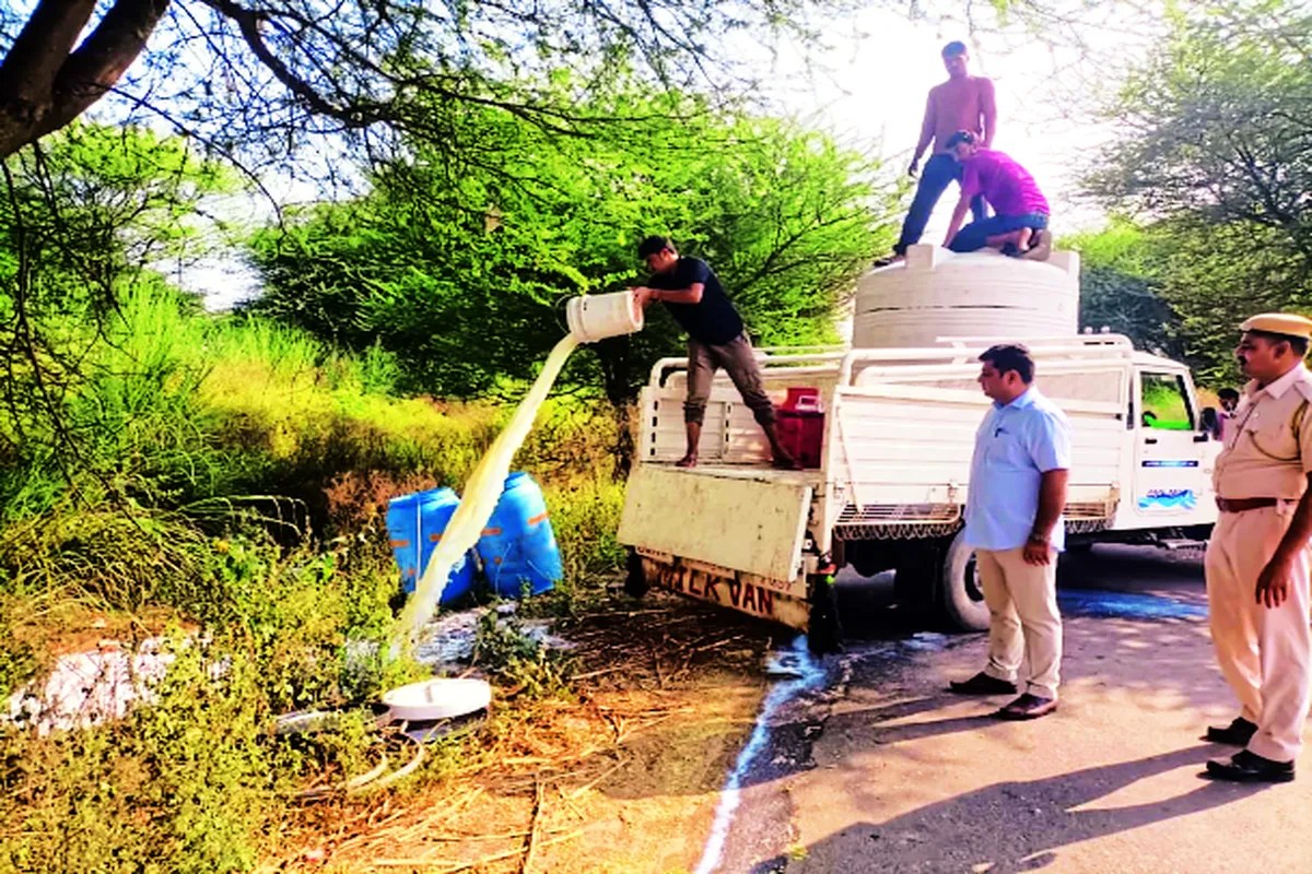 तिजारा में 4200 लीटर मिलावटी दूध नष्ट कराया…. देखें वीडियो….
