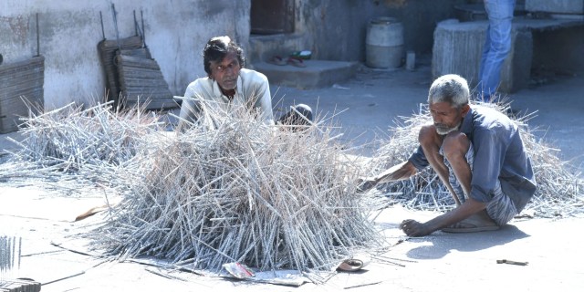 Cultivation of sparklers on Diwali