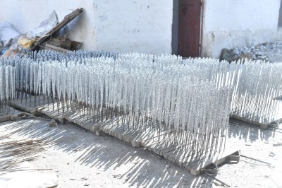 फुलझड़ी की खेती: रोशनी की ये फसल बीकानेर में उगती है