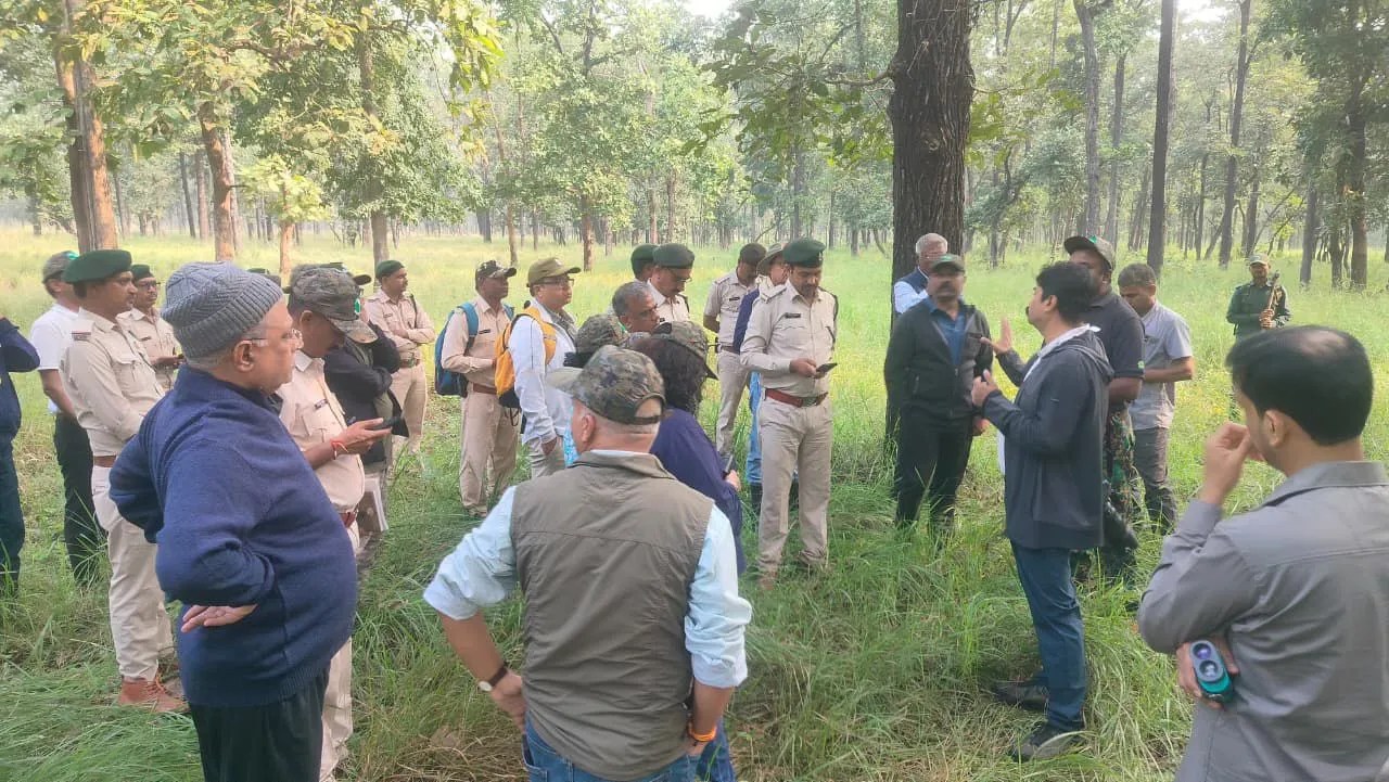राष्ट्रीय बाघ आंकलन 2026 के अंतर्गत डाटा कलेक्शन कार्य 1 दिसम्बर से 25 जनवरी तक, दुर्गम वन क्षेत्र में प्रतिदिन लगभग 10किमी चलना पड़ेगा पैदल