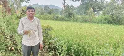 पहले खराब मौसम अब फसलों पर कीट व्याधि ने बढ़ाई किसानों की चिंता-