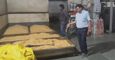 food safety