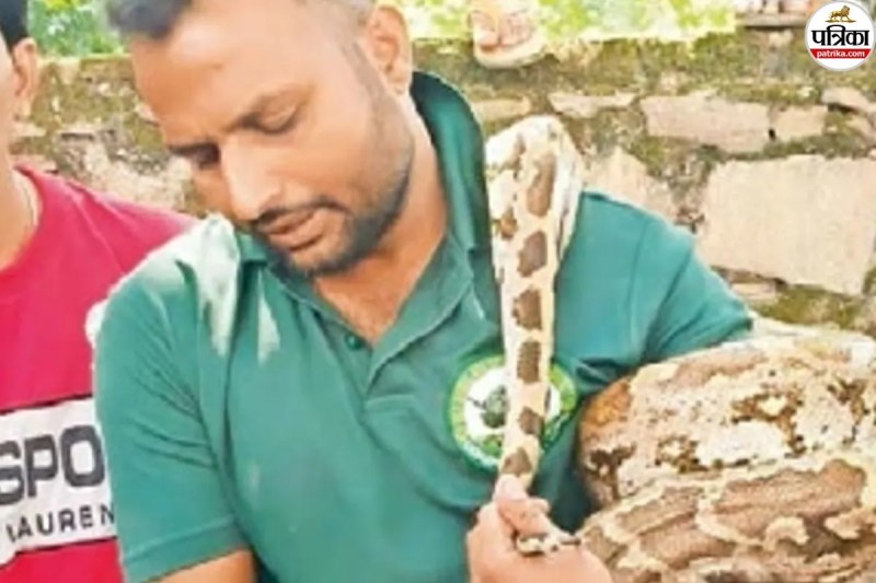 Udaipur News