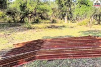 Mukundra Reserve