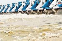 Rajasthan 465 Dams Brimming