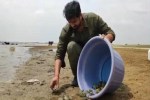नवाचार: धौलपुर में बनेगा राज्य का पहला कछुआ संरक्षण केन्द्र! Innovation: State's first turtle conservation centre to be built in Dholpur!