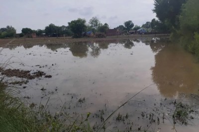 जिले में लगातार हो रही बारिश से खरीफ के साथ रवी की फसल को भारी नुकसान Due to continuous rain in the district, heavy damage has been caused to Kharif as well as Rabi crops.