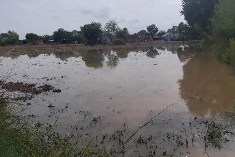 जिले में लगातार हो रही बारिश से खरीफ के साथ रवी की फसल को भारी नुकसान Due to continuous rain in the district, heavy damage has been caused to Kharif as well as Rabi crops.
