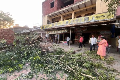 दिन दहाड़े पेड़ काटते तहसीलदार के हत्थे चढ़े लकड़ी माफिया Tehsildar catches timber mafia cutting trees in broad daylight