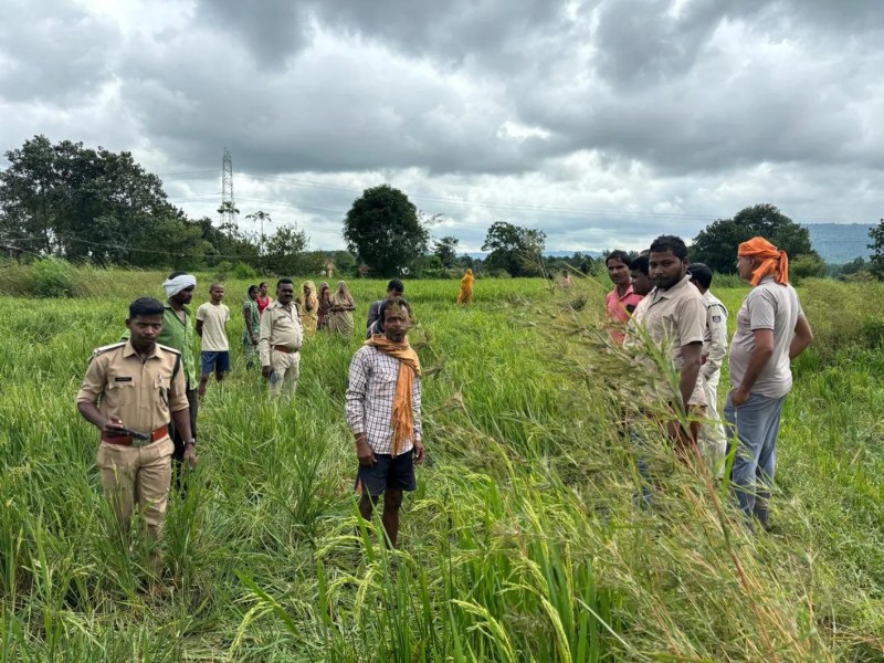 हाथियों के डर से सहमे हुए हैं ग्रामीण, वन परिक्षेत्र की टीम लगातार कर रही निगरानी