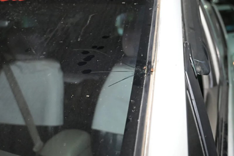 BJP MP Raju Bista attacked in Sukhiya Pokhari