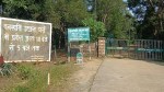 बिना वनस्पति पौधों का वनस्पति उद्यान