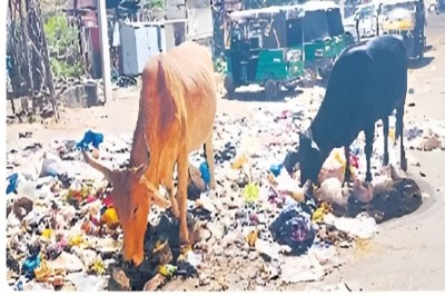 Photo: Patrika