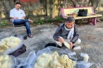 250 किलोग्राम दूषित मावा नष्ट करवाया, खाद्य पदार्थों के लिए नमूने 250 kg of contaminated mawa destroyed, samples taken for food items
