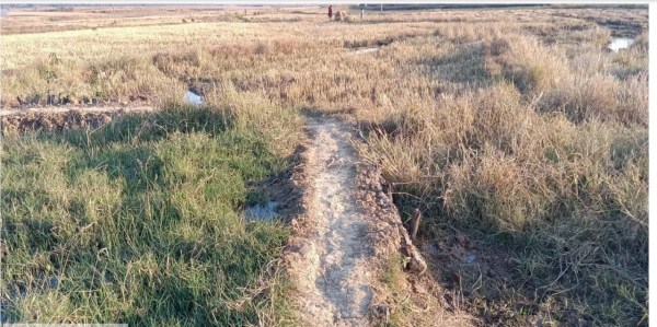 CG News:  पहाड़ी कोरवाओं को मिली विकास के रास्ते की सौगात, देखें तस्वीरें 
