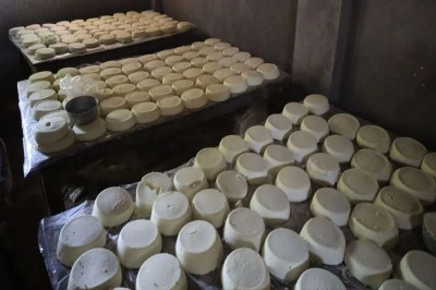 मावा में मिलावट का गोरखधंधा, जांच के नाम पर खानापूर्ति Racketeering of adulteration in mawa, mere formality in the name of investigation