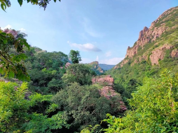  प्रकृति आस्था और इतिहास का अद्भुत संगम दमउदहरा जलप्रपात, देखें तस्वीरें  
