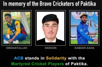 3 Cricketers killed in Pakistan Airstrike