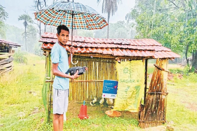 किसानों को मिला हस्तनिर्मित पोल्ट्री शेड का लाभ (Photo source- Patrika)