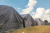 सुपर स्पेशियलिटी अस्पताल में धान खरीद (photo source- Patrika)