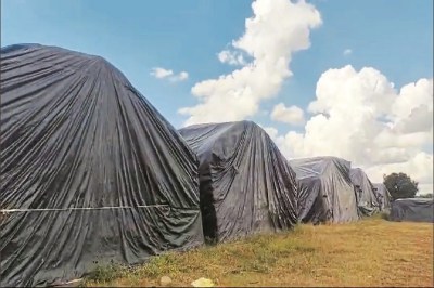 सुपर स्पेशियलिटी अस्पताल में धान खरीद (photo source- Patrika)