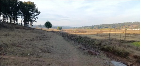 CG News:  पहाड़ी कोरवाओं को मिली विकास के रास्ते की सौगात, देखें तस्वीरें 
