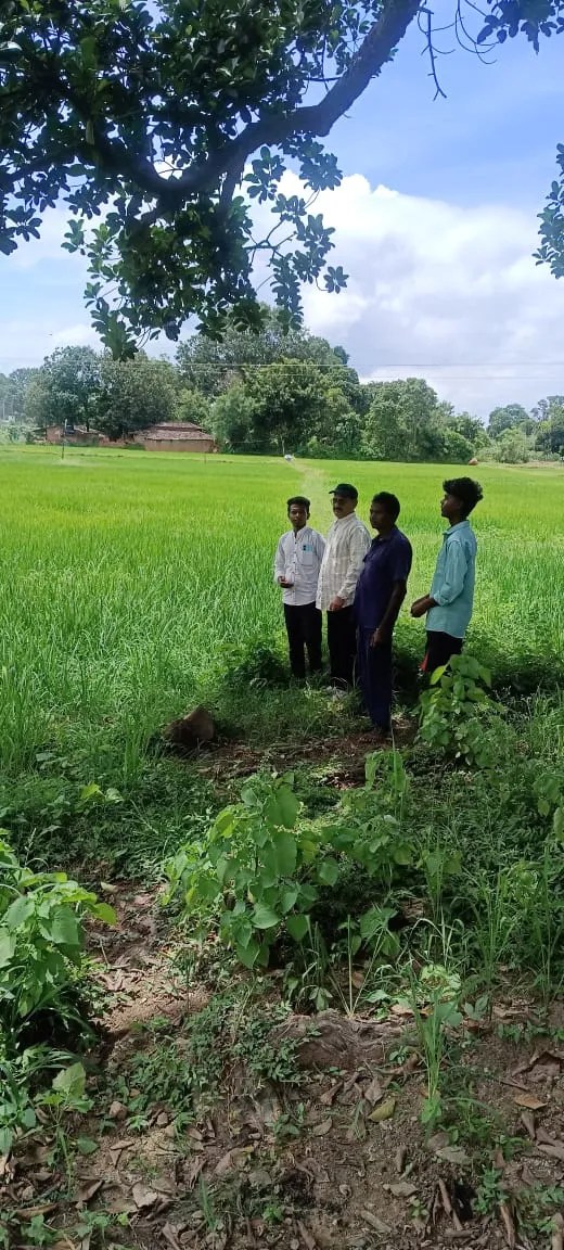  744 गांवों में डिजिटल फसल सर्वेक्षण कार्य पूर्ण,  फसल की मिलेगी ऑनलाइन जानकारी, देखें
