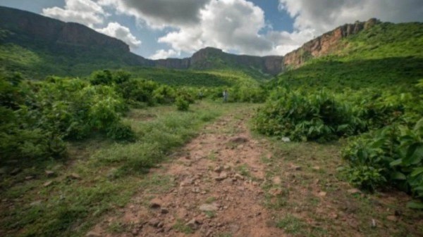 CG News:  पहाड़ी कोरवाओं को मिली विकास के रास्ते की सौगात, देखें तस्वीरें 
