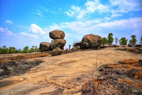 मयाली नेचर कैम्प