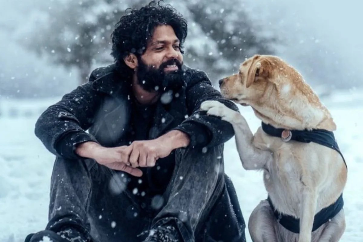 2 घंटे 44 मिनट की फिल्म ने बिना किसी स्टार और एक्शन के जीते 4 अवॉर्ड्स, 20 करोड़ में बनी मूवी ने पाई बड़ी सफलता