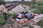 डंपिंग यार्ड में गड्ढा खुदवा कर नष्ट करवाया 600 किलो दूषित मिल्क केक 600 kg of contaminated milk cake destroyed by digging a pit in the dumping yard