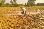 Rabi season picks up pace in Bhilwara, with 70% mustard and 40% gram sowing completed, while wheat is still sluggish.