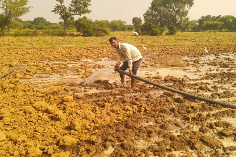 Rabi season picks up pace in Bhilwara, with 70% mustard and 40% gram sowing completed, while wheat is still sluggish.