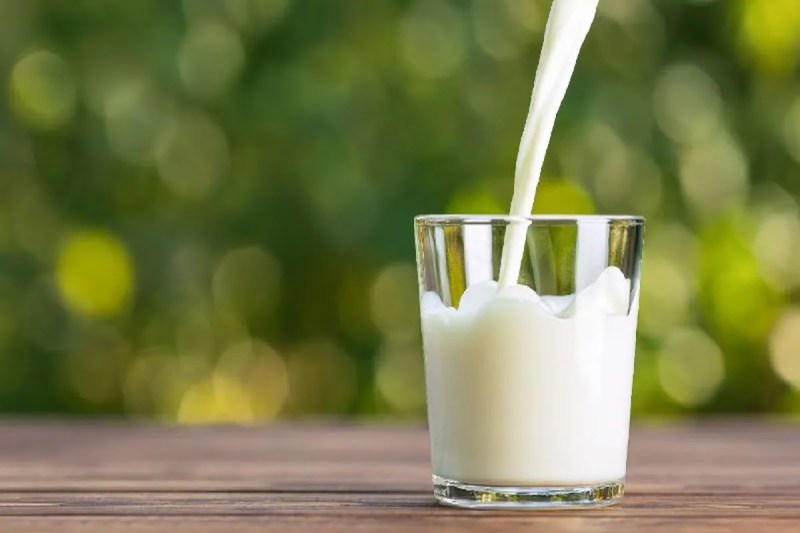 Strictness on milk powder in schools in the state: Physical inspection report will be done in three days, action will be taken against the culprits.